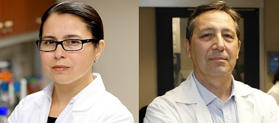 Científicos de la UC y del IMII, Drs. Alexis Kalergis y Susan Bueno, destacan en ranking internacional de inmunología 2025